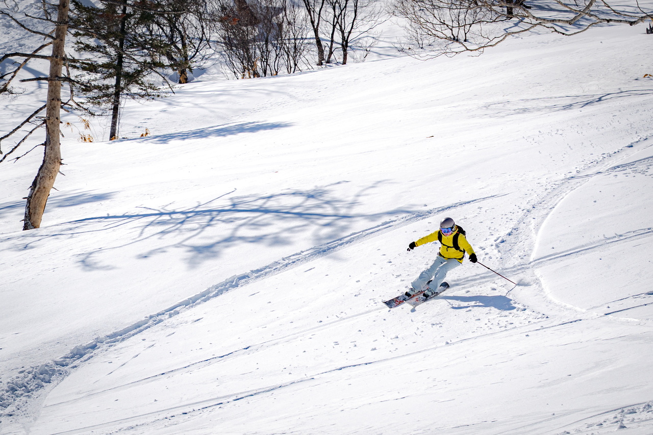 skier：秋山 穂香 - Honoka Akiyama